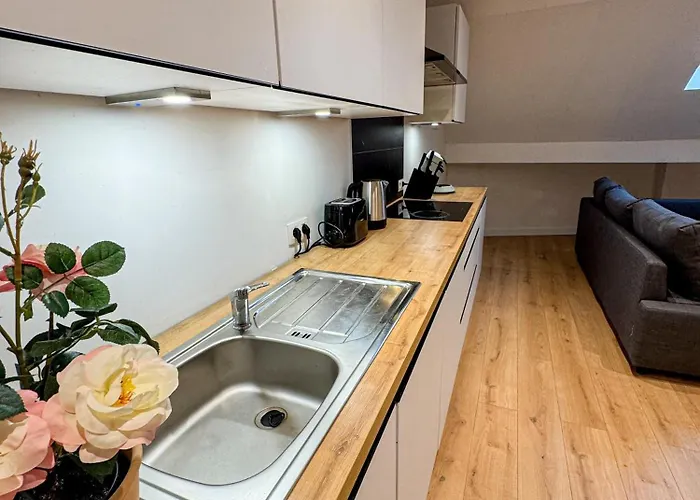 Chic & Modern 1br & 1lr Apt, 12 Min Walk To Rabot Apartment Gent