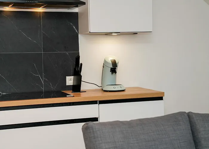 Chic & Modern 1br & 1lr Apt, 12 Min Walk To Rabot アパート ヘント