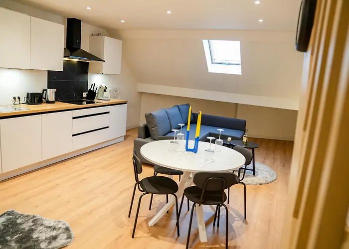 Chic & Modern 1br & 1lr Apt, 12 Min Walk To Rabot Gent